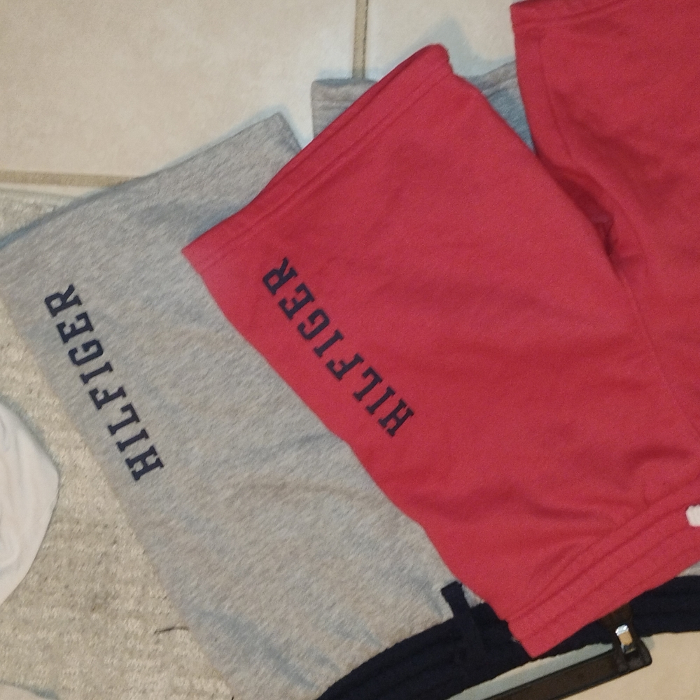 Tommy Hilfiger Red and Gray Kids Joggers